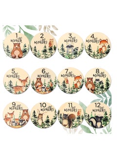 Buy Woodland Baby Monthly Milestone 12Pcs Wooden Newborn Welcome Discs Sign Round New Baby Sign Double Sided Cute Animal Printed Baby's First Year Age Announcement for Boys Girls Photo Prop Baby Shower in UAE