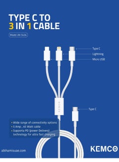 Buy Type c 3 in 1 Charging Cable in UAE