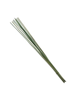 Buy Natural Decor Sticks 150cm - Green in UAE