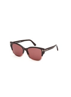 اشتري Women's Butterfly Shape Acetate Sunglasses FT110848Z55 Lens Size: 55 Millimeter - Shiny Dark Brown في السعودية