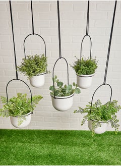 Buy Triflora 5 Hanging Planter in UAE