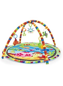 Buy Baby Gym Activity Center with  Play Mat in UAE