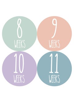 Buy Weekly Pregnancy Growth Sticker ; Week To Week Pregnant Expecting Photo Prop ; Maternity Keepsake ; Baby Bump ; Weekly Stickers Photo (Set Of 36 Stickers) in UAE