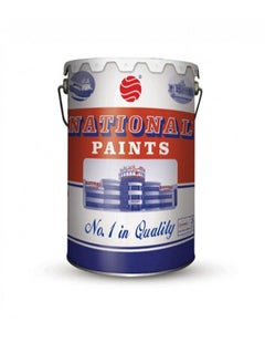 Buy National Paints Plastic Emulsion - Silver Grey (202) in UAE