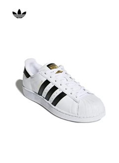 Buy Clover SUPERSTAR GALI low-top Shell-toe Classic Sneakers in Saudi Arabia