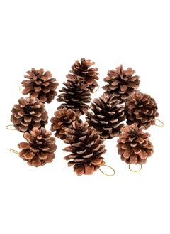 Buy HEALLILY Christmas Natural Pine Cones Bulk Christmas Pine Cones Garland Ornaments Pine Cones Pendant for Xmas Tree DIY Craft Fall Thanksgiving Christmas... in Egypt