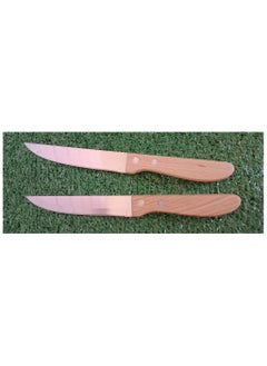 Buy 2 Pieces Kitchen Knife with Wooden Handle in Egypt