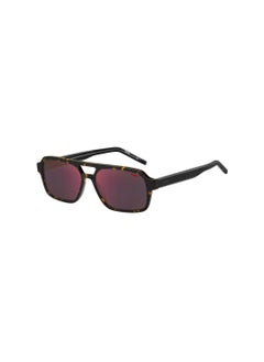 Buy Men's UV Protection Rectangular Sunglasses - Hg 1241/S Havan Red 56 - Lens Size: 56 Mm in UAE