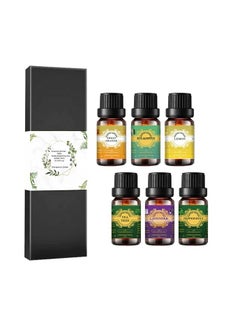 Buy Essential Oil 10 ml set for aromatherapy lavender, orange, eucalyptus, peppermint, lemon, tea tree in UAE