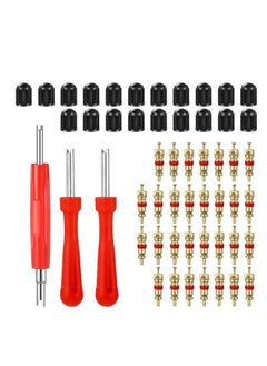 اشتري Tire Valve Core Remover Tools with 40 Pcs Schrader Valve Cores, 20Pcs O-ring Seal Valve Stem Caps, 3 Pieces Dual Single Head Tire Valve Core Remover Installer Repair Tools في الامارات