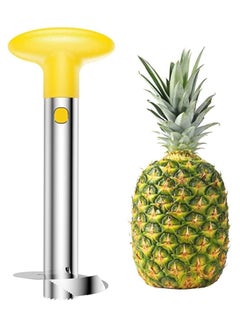 Buy Pineapple Corer And Slicer in UAE