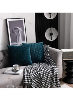 اشتري 2 PCS Of Velvet Pleated Throw Pillow With Extra Comfort And Modern Luxury Look في الامارات