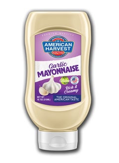 Buy Garlic Mayonnaise Squeeze Bottle 315ml in UAE