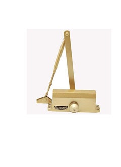 Buy ROBUSTLINE Automatic Adjustable Door Closer | 45-60 KG Capacity | Gold Color in UAE