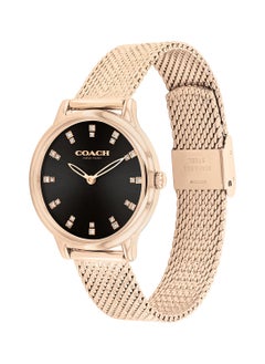 Buy Women's Analog Round Shape Stainless Steel Wrist Watch 14504217 - 32 Mm in UAE