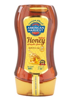 Buy Pure & Natural Honey Down Squeeze, 500 gm in UAE