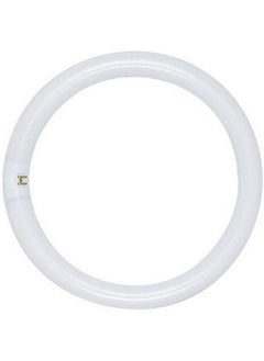 Buy S6506 4100K 40 Watt 4 Pin T9 Circline Lamp Cool White in Saudi Arabia