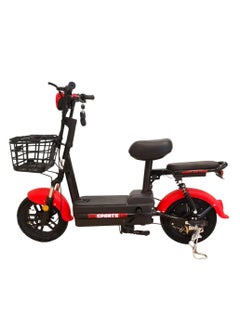 Buy Electric Bike for ride and Cargo in UAE