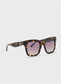 Buy Oversized Sunglasses in UAE