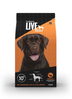 Buy Dog Dry Food Adult Salmon and Rice in UAE