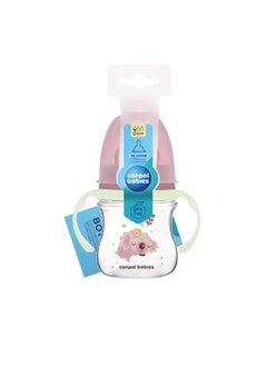 Buy Wide Neck Anti-colic Bottle with Glowing Handles PP EasyStart 120ml Sleepy Koala in Egypt