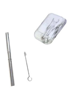Buy Reusable Stainless Steel Straw with Cleaning Brush and Storage Box in Egypt