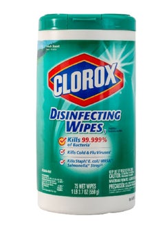 Buy 75-Piece Fresh Scent Bleach Free Disinfecting Wipe 559 g in Saudi Arabia