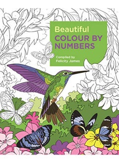 Buy Beautiful Colour by Numbers in UAE