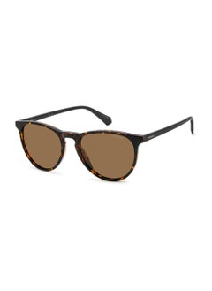 Buy Women's Polarized Oval Sunglasses - Pld 4152/S Beige Millimeter - Lens Size: 54 Mm in Saudi Arabia