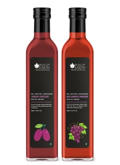 اشتري Red Grapes Vinegar & Jamun Java Plum Vinegar With Mother Unfiltered For Cooking Salad Dressings and Marinating Fresh or Grilled Vegetables 500ml Each في الامارات