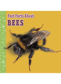 Buy Fast Facts About Bees in UAE