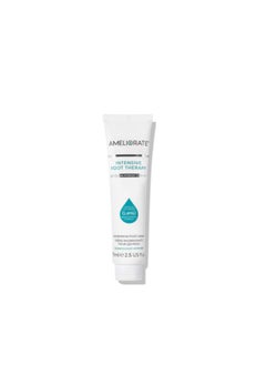 Buy AMELIORATE INTENSIVE FOOT THERAPY 75ML in UAE