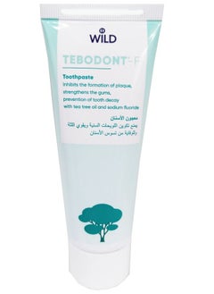 Buy Tebodont-F Toothpaste 75 ml in UAE