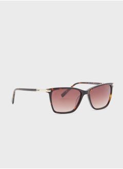 Buy DK539S Sunglasses in UAE