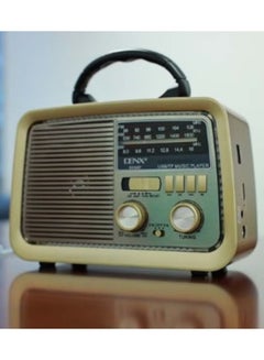 اشتري راديو FM بلوتوث صوت محمول، بطاقة TF، قرص فلاش USB، تشغيل Aux في السعودية
