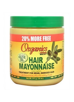 Buy Hair Mayonnaise Treatment For Weak  Damaged Hair 511g in Egypt