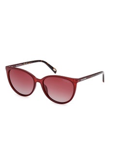 Buy Women's Polarized Round Shape Sunglasses - SE616969M56 - Lens Size: 56 Mm in UAE