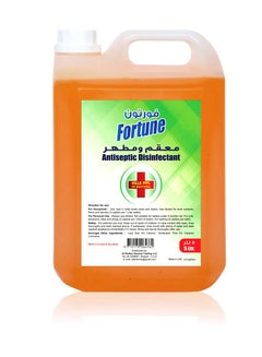 اشتري Fortune Antiseptic Disinfectant Liquid 5LTR في الامارات