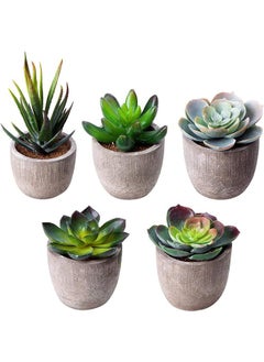 Buy Artificial Succulent Plants, Assorted Decorative Faux Succulent Potted Fake Cactus Cacti Plants with Gray Pots, Set of 5 in UAE