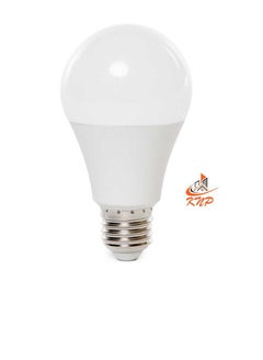 Buy E27 15W LED Frosted Bulb 6500K in UAE