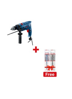 Buy GSB 570 Professional Bundle Impact Drill 13 mm and Free 2 Drill Bits in Egypt