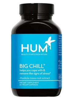 اشتري Big Chill - Helps Cope With And Remove Signs Of Stress | 30 Vegan Capsules Dietary Supplements في السعودية