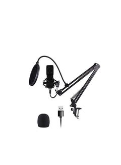 Buy USB Condenser Microphone Computer Mic Kit Professional Studio Recording Bundle for Streaming Gaming Broadcasting Streaming, Voice Over, Project, Home-Studio in UAE