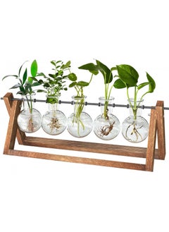 اشتري CFMOUR Plant Terrarium with Wooden Stand, Desktop Propagation Stations Glass Air Planter Metal Swivel Holder for Indoor Live Hydroponics Plants Office Home Garden Decor (5 Bulb Vase) في الامارات