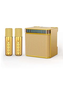 Buy Karaoke Speaker Machine with 2 Wireless Microphones Portable Bluetooth with Echo and Vocal Cut in UAE