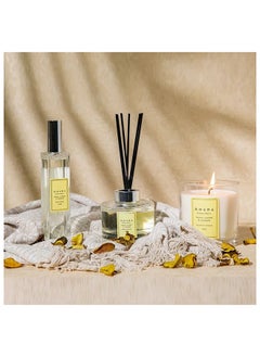 اشتري AW23 Amara Fragrance Gift Set Norway Spruce & Cedar Wax,Dpm Reed Diffusers For Bedroom Bathroom Living Room L 27 x W 10 x H 25 cm Brown في الامارات