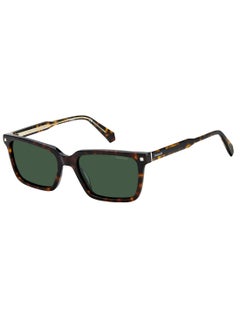 Buy Men Square Sunglasses PLD 4116/S/X  HVN 55 in Saudi Arabia