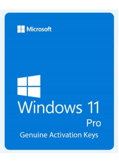 Buy Windows 11 Professional lifetime Key in Saudi Arabia