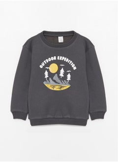 Buy Crew Neck Long Sleeve Printed Baby Boy Sweatshirt in Egypt