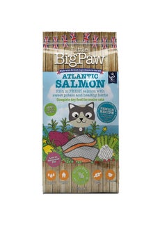 Buy Little Big Paw Atlantic Salmon For Adult Cats Dry Food 1.5Kg in UAE